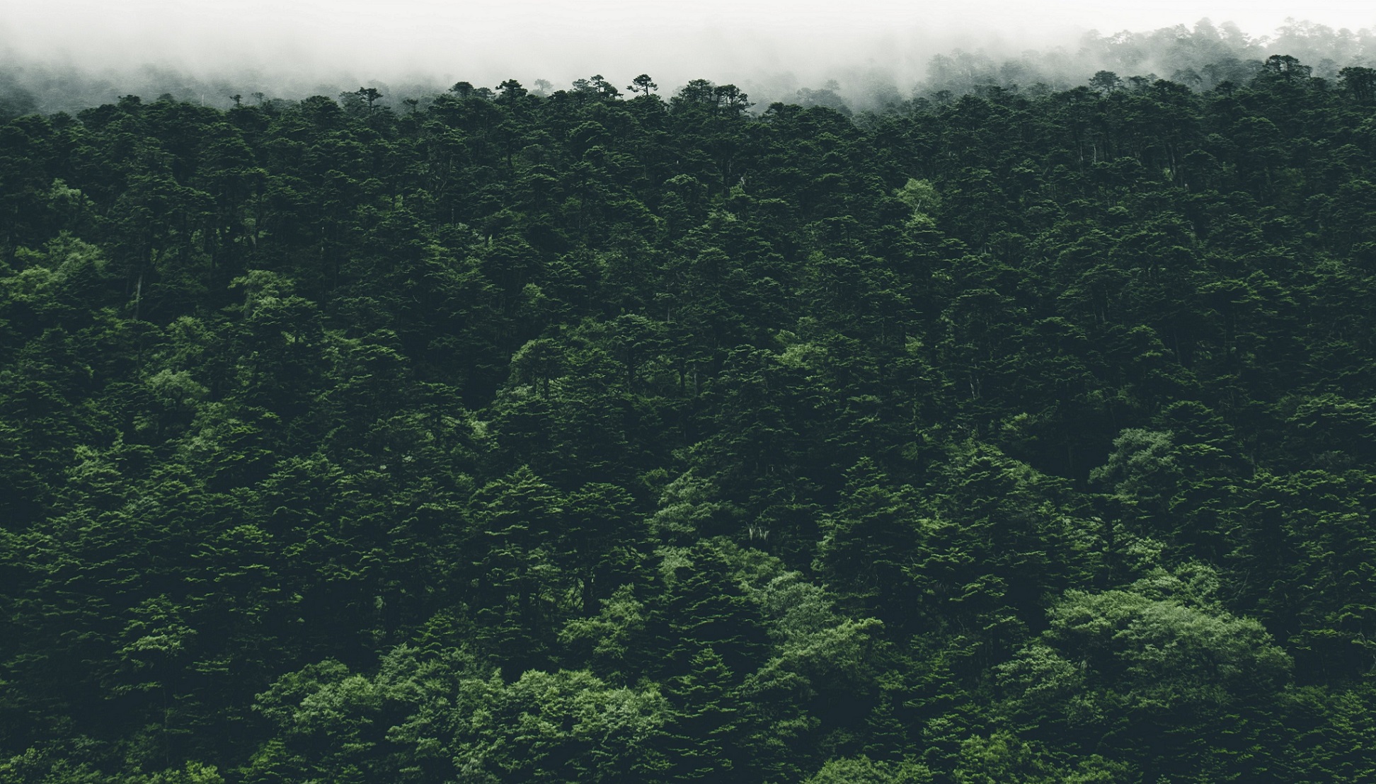 Progetto Carbodel realizzato da [Nome Azienda]