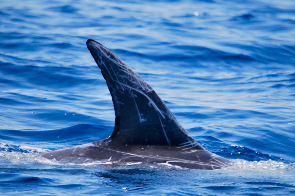 Progetto Carbodel realizzato da [Nome Azienda]